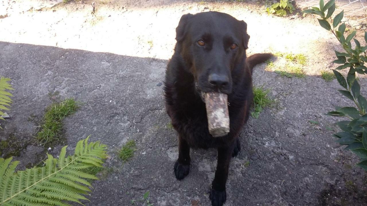 Luksustelt Feeling Cone