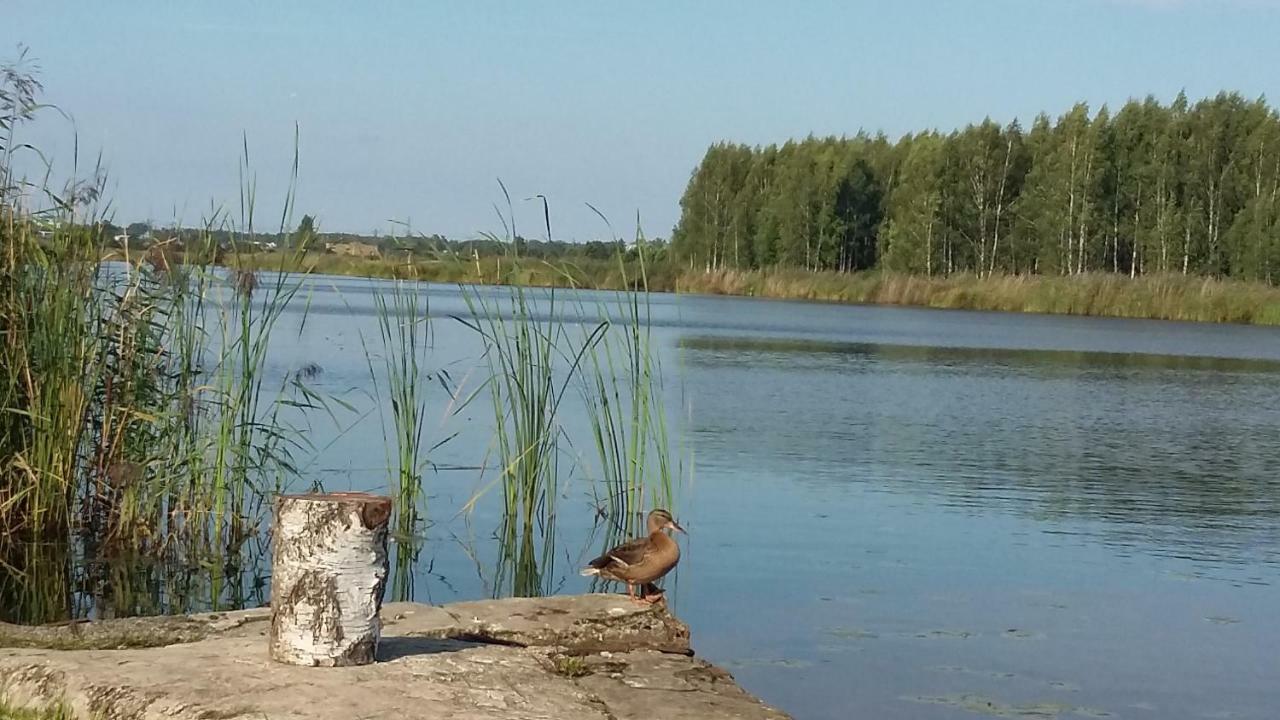 Feeling Cone Luksustelt Jūrkalne